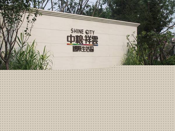 中粮地产集团 (6)